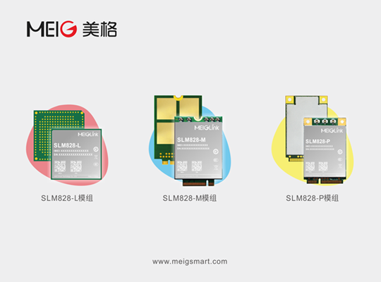 6t����(6TSPORTS)�����Źɷݹ�˾