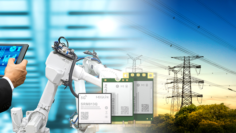 redcap1.jpg redcap1.jpg